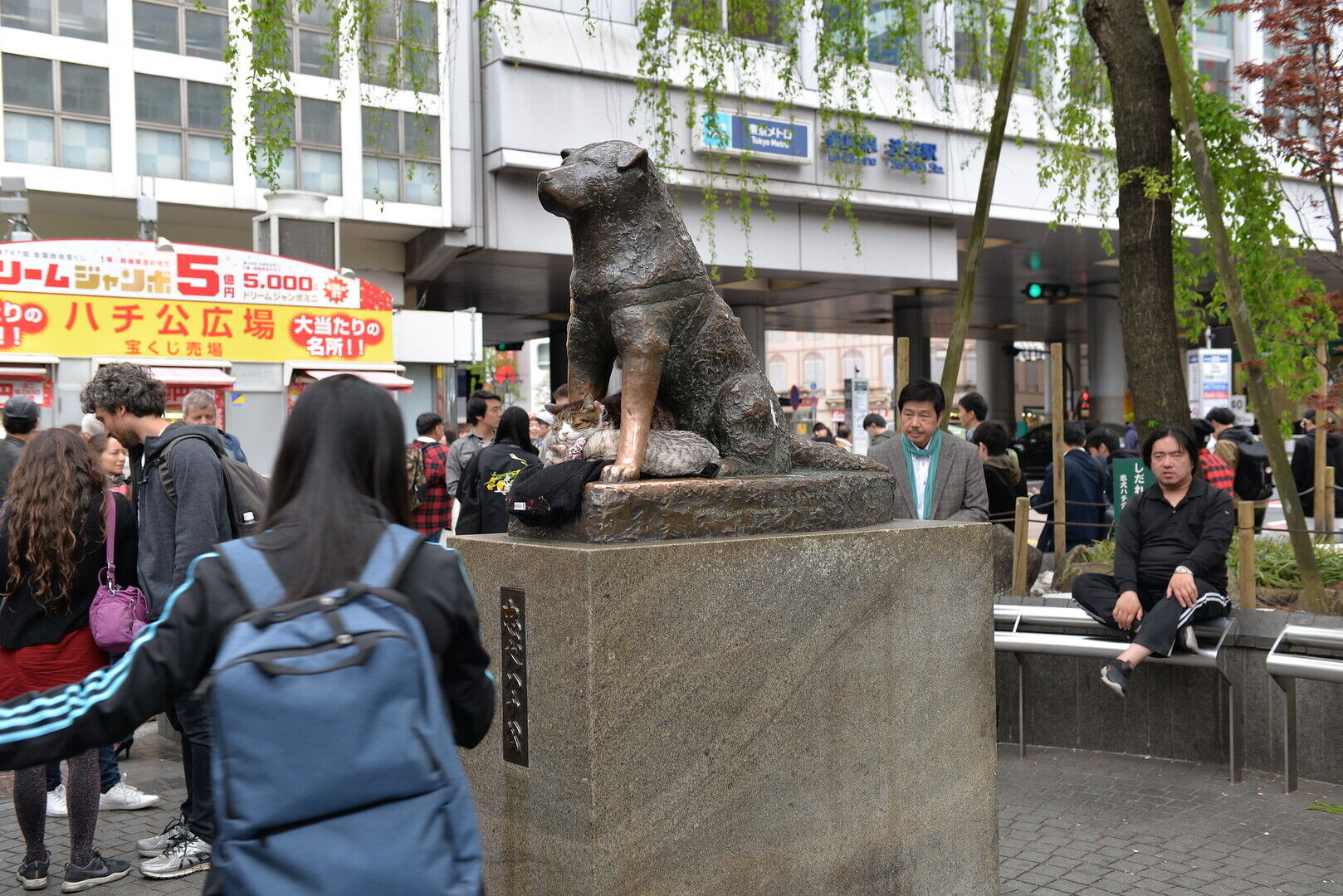 Hachiko statue at Shibuya Station