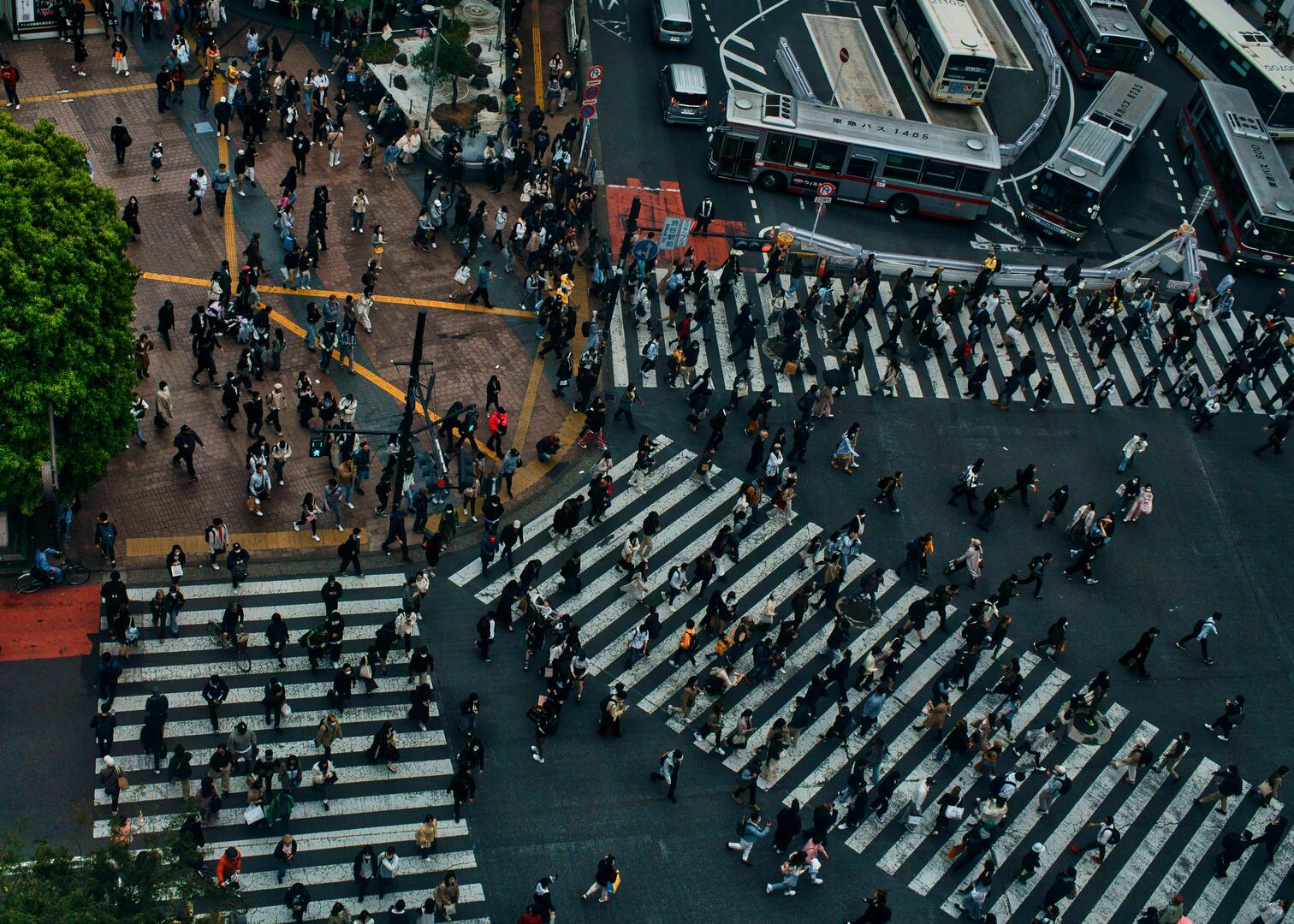 Shibuya Crossing aerial view with bustling crowds