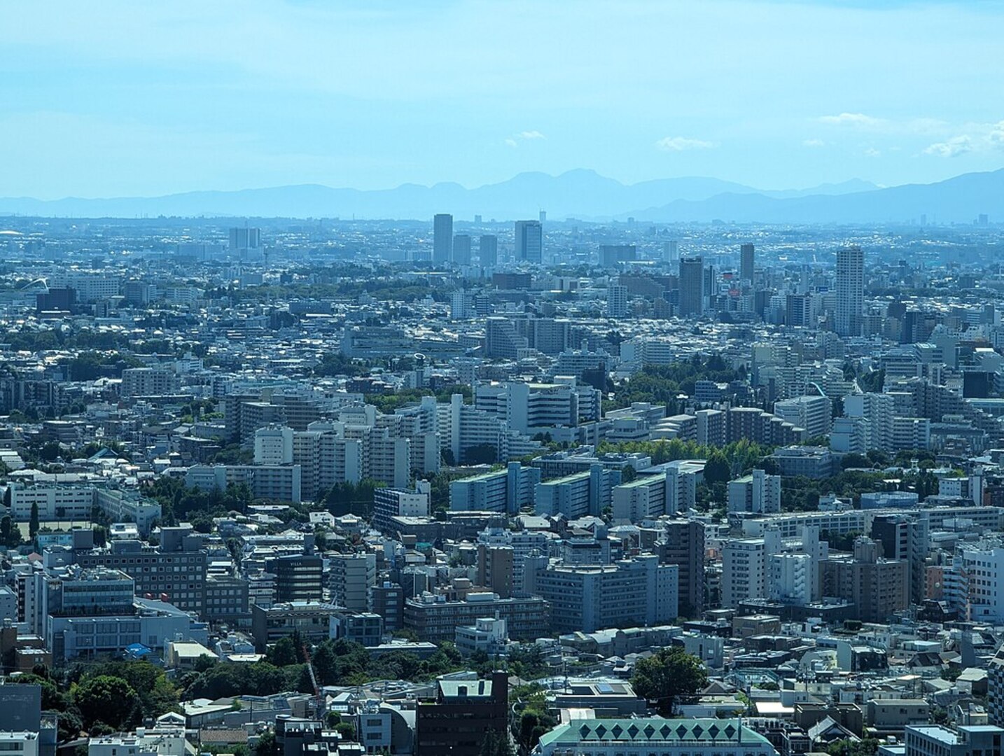 Shibuya skyline from observation deck